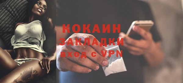 шишки Новый Уренгой