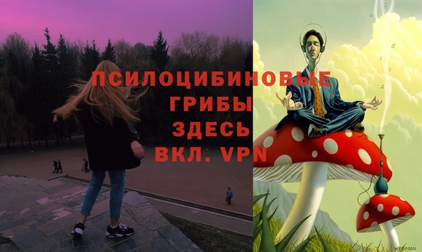 соль ск Долгопрудный