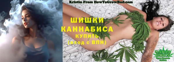 соль ск Долгопрудный