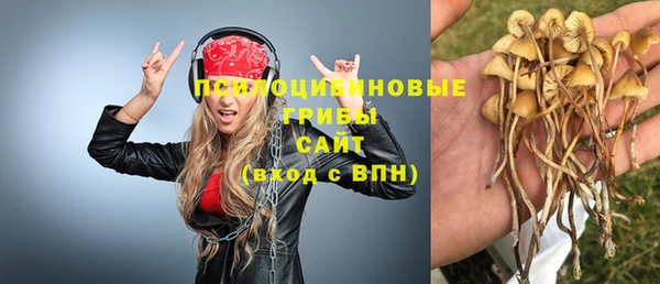 соль ск Долгопрудный