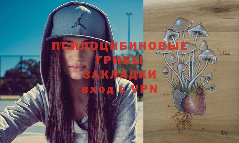 где найти   Большой Камень  Псилоцибиновые грибы Psilocybe 