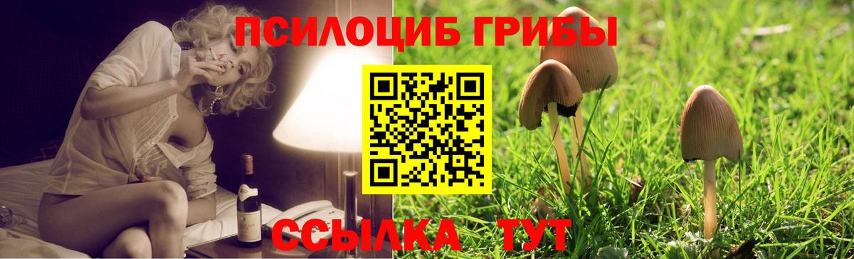 Псилоцибиновые грибы Cubensis Большой Камень